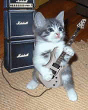Ancient GIF of a cat rocking out on the guitar